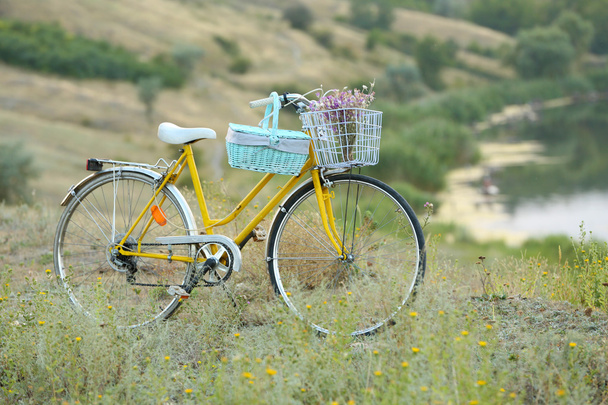 Bicycle in meadow during sunset  - Foto, imagen