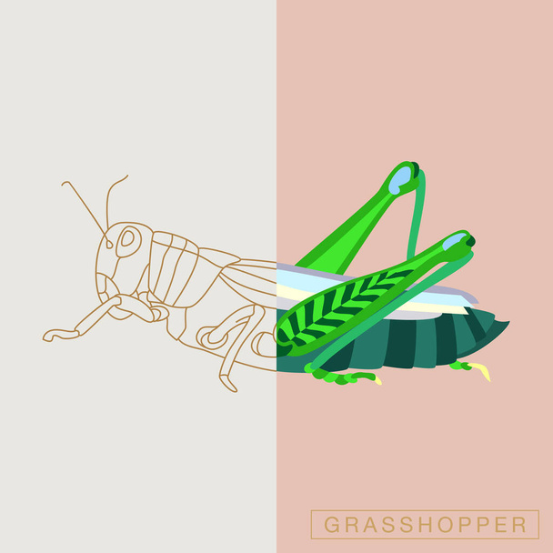 Abstract insects illustration - Vector, Image