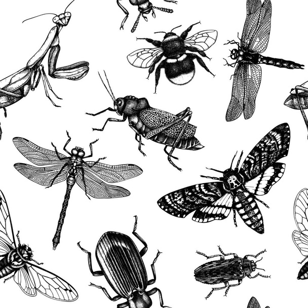 Vector background with high detailed insects sketches. Hand drawn butterflies, beetles, dragonfly, cicada, bumblebee, grasshopper, mantis illustrations. Entomological seamless pattern - Вектор, зображення