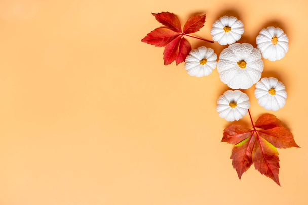Orangefarbene, weiße Kürbis- und Ahornblätter isoliert auf beigem Hintergrund Draufsicht Flache Lage Hallo Herbst, frohes Erntedankkonzept Weihnachtskarte - Foto, Bild