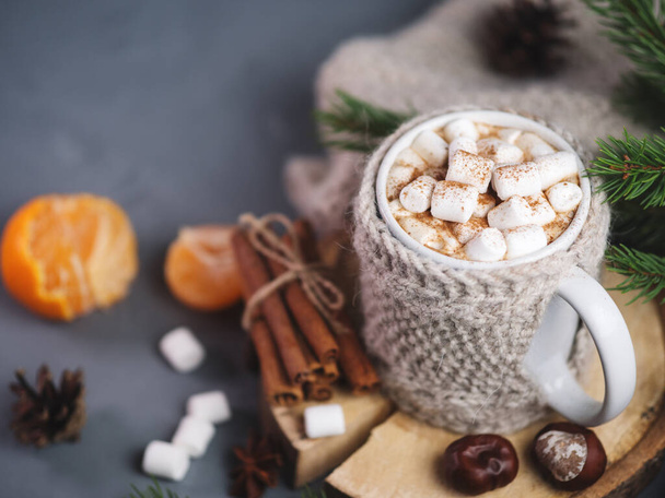 Bebida caliente de otoño e invierno de chocolate con malvaviscos y canela - Foto, Imagen