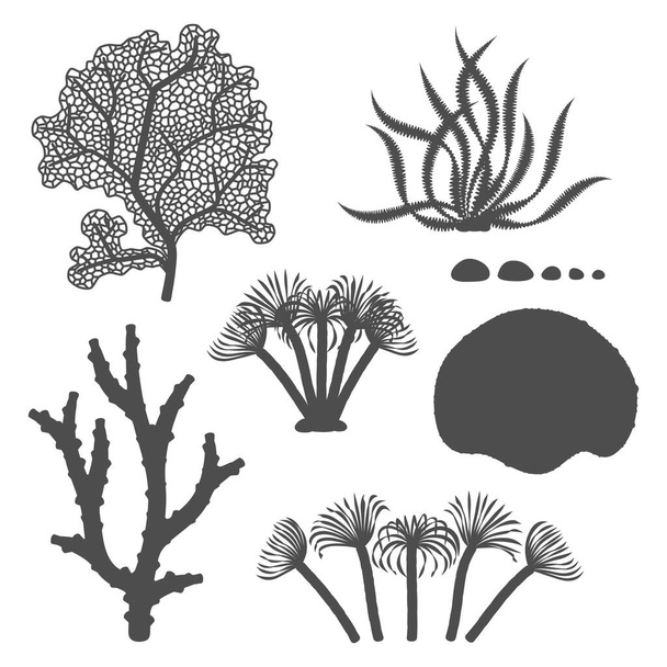 Set of black and white illustrations with corals and algae. Isolated vector objects on a white background. - Vector, imagen