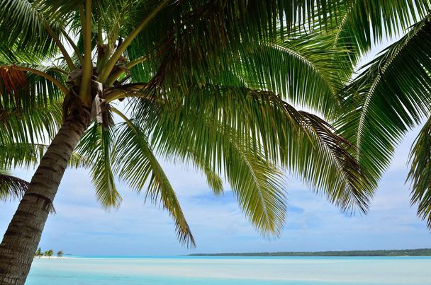 krajobraz Wyspy Cooka laguny aitutaki - Zdjęcie, obraz