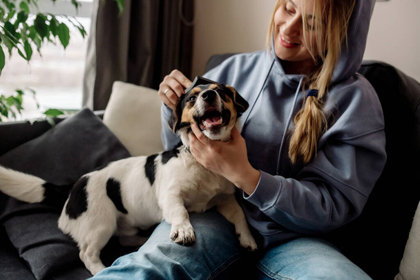 Pet care at home during quarantine corona virus. Clipping the nails and combing the dog's fur - Valokuva, kuva