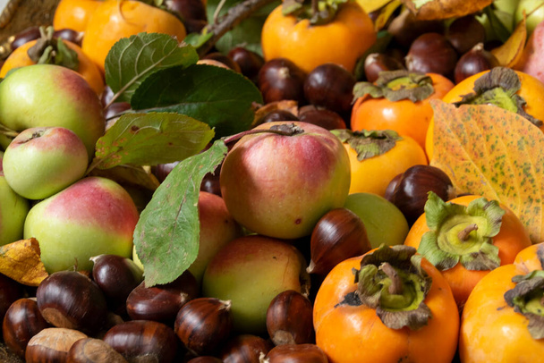 Close up of autumn fruits. Fresh raw apples, kaki and chestnuts, healthy eating concept - Fotoğraf, Görsel