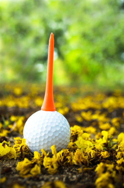 Pallone da golf con fiore giallo
 - Foto, immagini