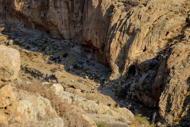 Hírax de roca (Procavia capensis) en estado salvaje, Reserva Nacional Ein Gedi, Desierto de Judea, sur de Israel. Daman día soleado se encuentran en las rocas entre las rocas en el desfiladero. - Foto, Imagen