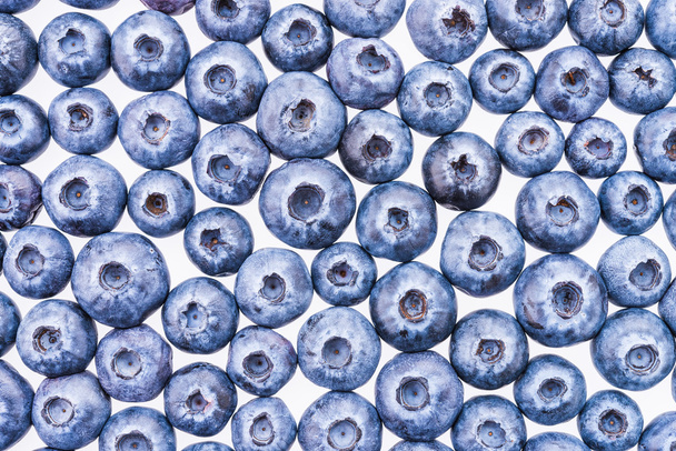Blueberry háttér - Fotó, kép