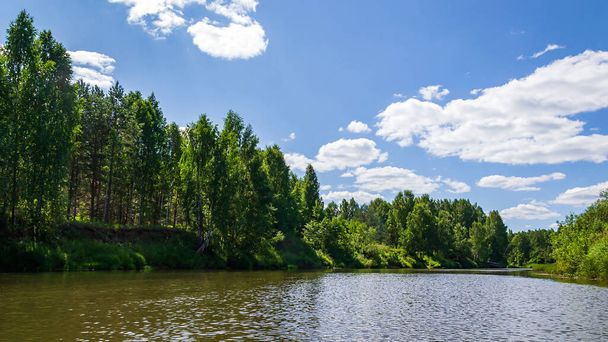 metsäjoki kuumana kesäpäivänä - Valokuva, kuva