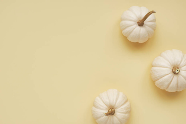 Autumn minimal concept with white pumpkins on beige background, top view with copy space - Photo, image