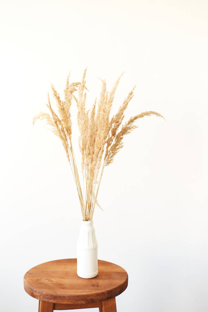 Branches of pampas grass in vase on light background. Interior decoration - Foto, afbeelding