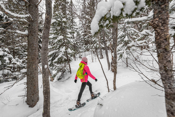 Snowshoeing people in winter forest with snow covered trees on snowy day. Woman on hike in snow hiking in snowshoes living healthy active outdoor lifestyle - 写真・画像
