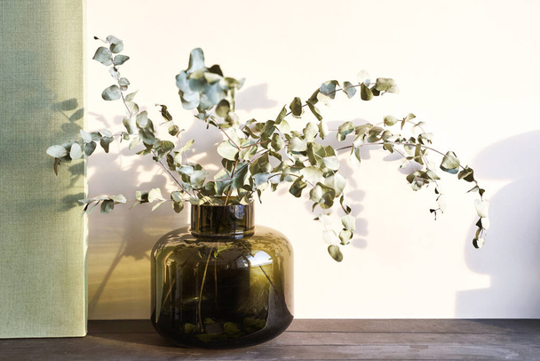 Trendy eucalyptus flower. Bedroom interior design. Minimal bouquet - Foto, afbeelding