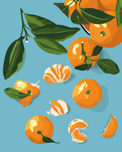 Frische Mandarinen oder Mandarinen mit grünen Blättern. Zitrusfrüchte. Orange Zitrusfrüchte und grüne Blätter, geschälte Früchte und Scheiben. Vektorillustration. Lebensmittel-Hintergrund. Früchte für soziale Netzwerke, Postkarten. - Vektor, Bild