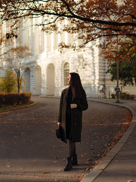 Jovem mulher grávida bonita com cabelo escuro em um vestido preto apertado e casaco posando em um prado de outono no parque - Foto, Imagem