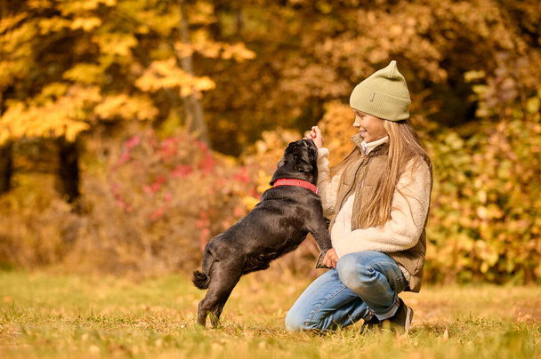 A cute girl playing with her dog in the park - 写真・画像