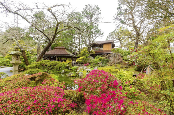 Japanischer Teegarten, San Francisco - Foto, Bild