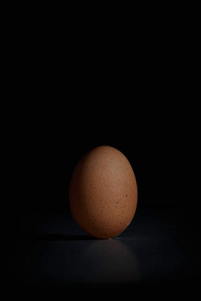 One egg clipping path with shadow dark background - Foto, immagini