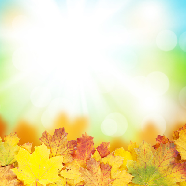 Hintergrund Herbst - Foto, Bild