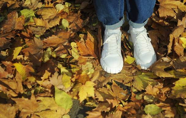 persona caminando en el parque de otoño
 - Foto, Imagen