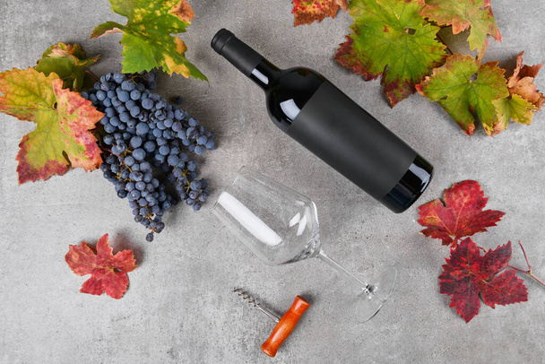 Red wine bottle with black label mockup with bunch of Primitivo grape, green and red fall grape's leaves, glass of wine and corkscrew on on gray stone table. Concept wine flat lay backgroud - Photo, Image