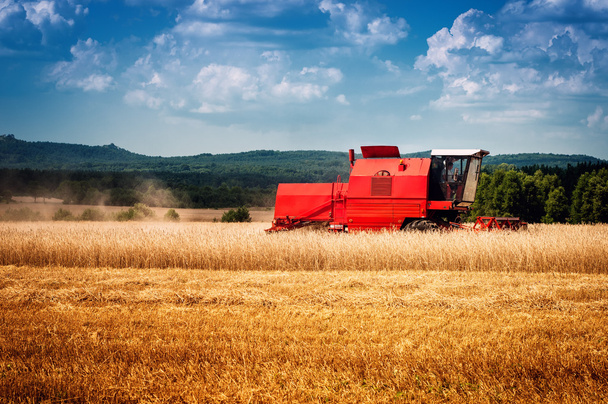 combine harvester - Photo, Image
