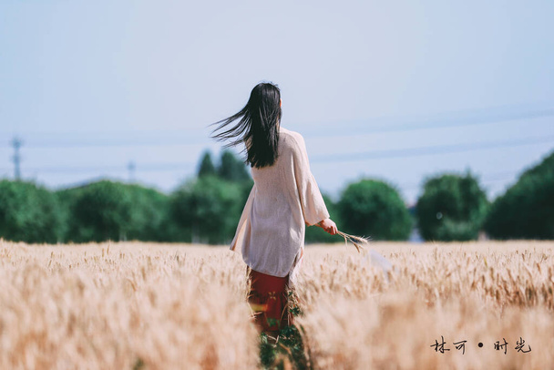 young woman in a white dress with a straw hat in the field - Foto, Bild