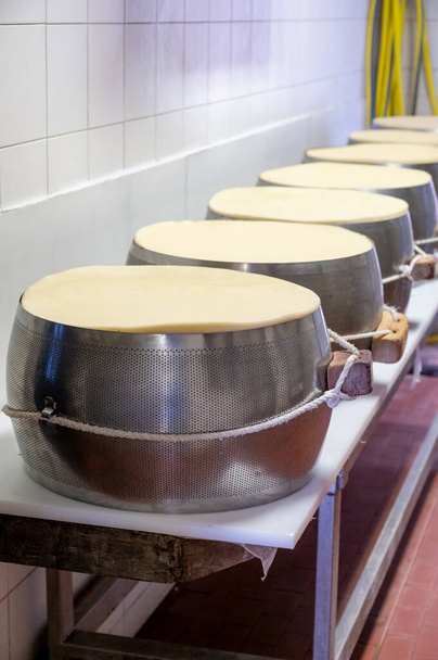 レッジョ・エミリア州パルマの小さなチーズ農場でパルミジャーノ・レッジャーノ・パルメザンチーズの車輪を作る伝統的なプロセス - 写真・画像