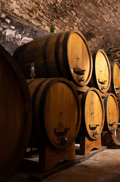 Bodegas subterráneas medievales con barricas de vino tinto viejo para el envejecimiento del vino nobile di Montepulciano en el casco antiguo en la colina Montepulciano en Toscana, Italia - Foto, imagen
