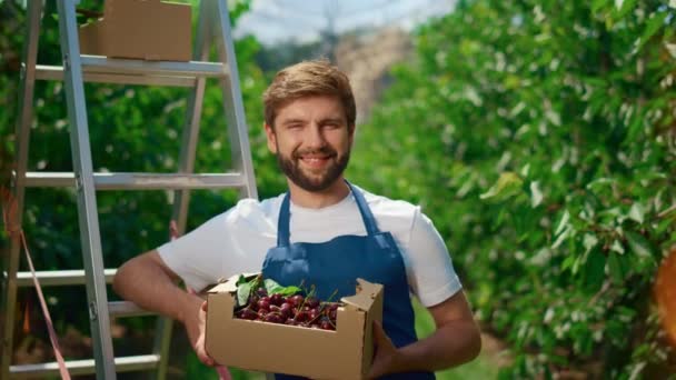 Trabalhador sorrindo jardim transportando caixa de cereja na plantação agrícola natural - Filmagem, Vídeo
