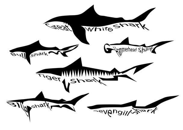 cápa fajok - Vektor, kép