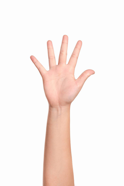 Mulher mão gestual isolado no fundo branco. - Foto, Imagem