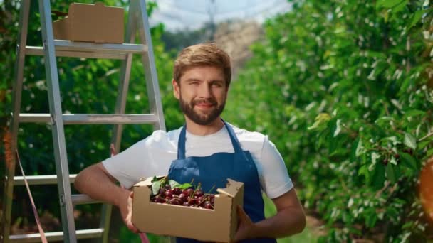 Садовник держит свежие органические ягоды в большом летнем саду. Аграрная концепция - Кадры, видео
