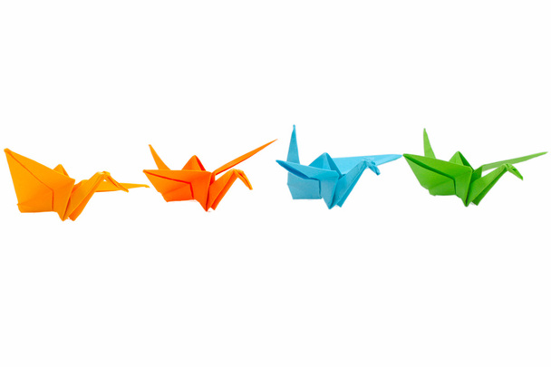 Origami birds - Photo, Image