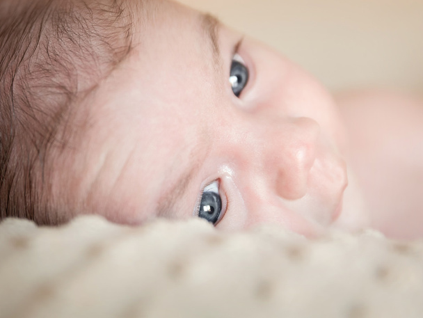 Portrait of newborn baby lying down over a blanket - Foto, imagen