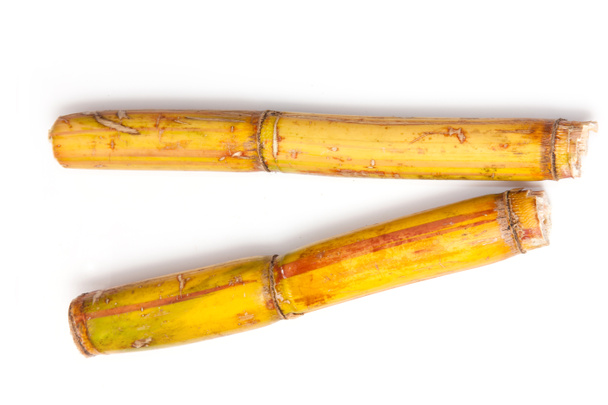 Sugar cane - Photo, Image