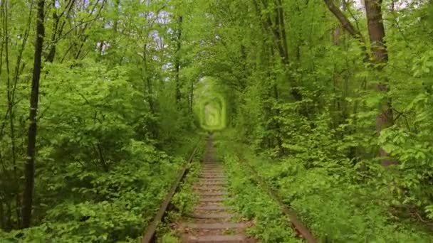 Tunnel of Love, Romantic Place, Ukraine, Klevan, Railway, Nature, Park - Footage, Video
