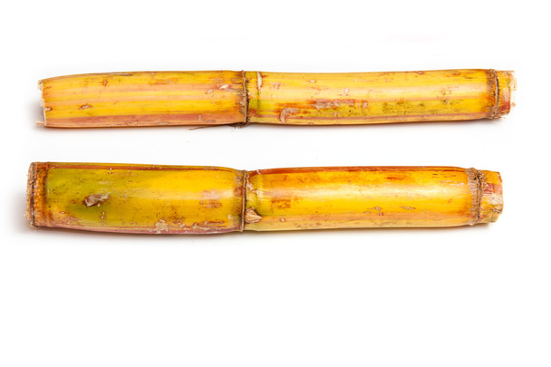 Сахарный тростник
 - Фото, изображение