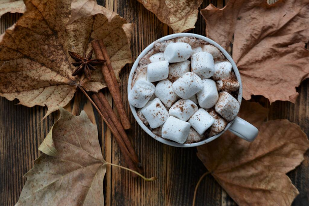 Cup of hot chocolate or cocoa with marshmallows. Cozy autumn or winter holidays - Foto, Imagen