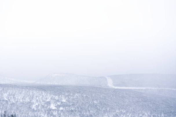 Winter landscape in a snowy weather. Kamchatka peninsula, Russia - Valokuva, kuva
