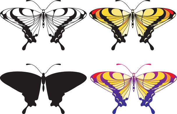 Conjunto de mariposas
 - Vector, imagen