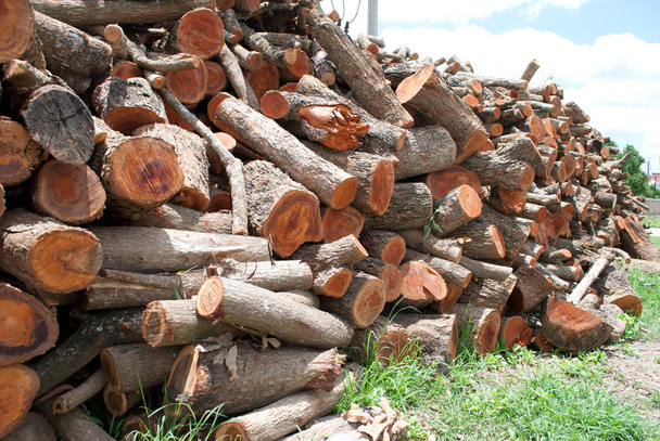 Stos drewna opałowego. Zszywka biomasy, ułożone Drewno kominkowe dla Longan - Zdjęcie, obraz