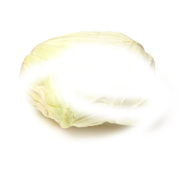 Japanese style flat white cabbage - Photo, Image