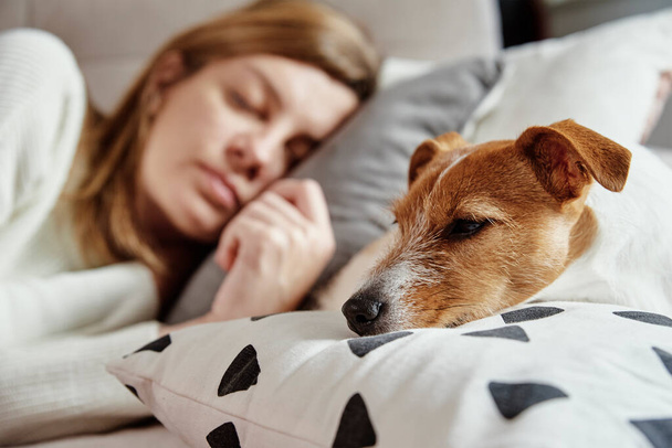 Frau schläft mit Hund auf Sofa - Foto, Bild