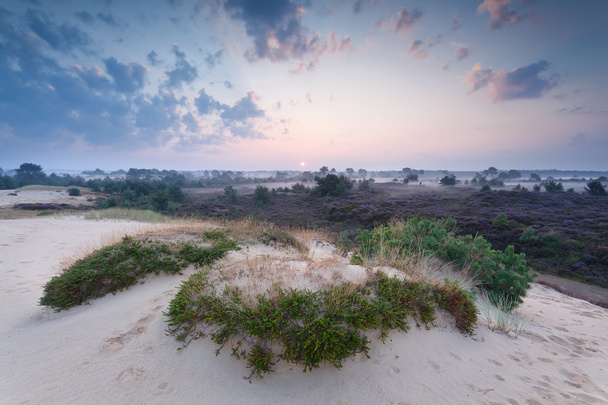 туманный летний восход солнца над песчаной дюной
 - Фото, изображение