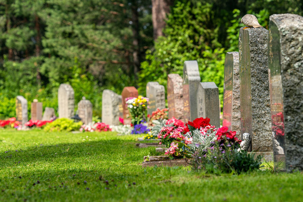 Fila ricurva di lapidi con fiori rossi e rosa su un bellissimo cimitero ben curato in Svezia - Foto, immagini