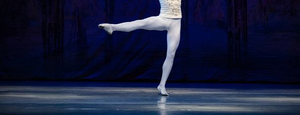 Ballet de Swan Lake. Primer plano de bailarinas bailando - Foto, imagen