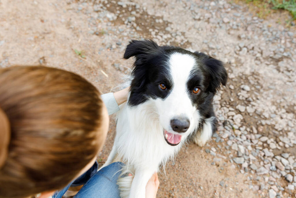 Hymyilevä nuori houkutteleva nainen leikkii söpö pentu koira raja collie kesällä ulkona tausta. Tyttö halailee koiraystävää. Lemmikkieläinten hoito ja hoito. - Valokuva, kuva