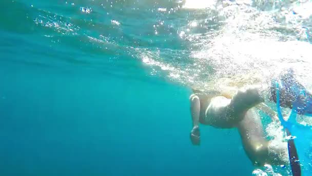 vrouw snorkelen in de zee - onderwater slow motion weergave - Video