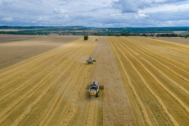 Trzy kombajny zbierają pszenicę na złotym polu, zdjęcie drona lotniczego. Pszenica jest eksportowana do różnych krajów na całym świecie. - Zdjęcie, obraz